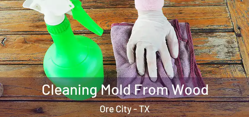  Cleaning Mold From Wood Ore City - TX
