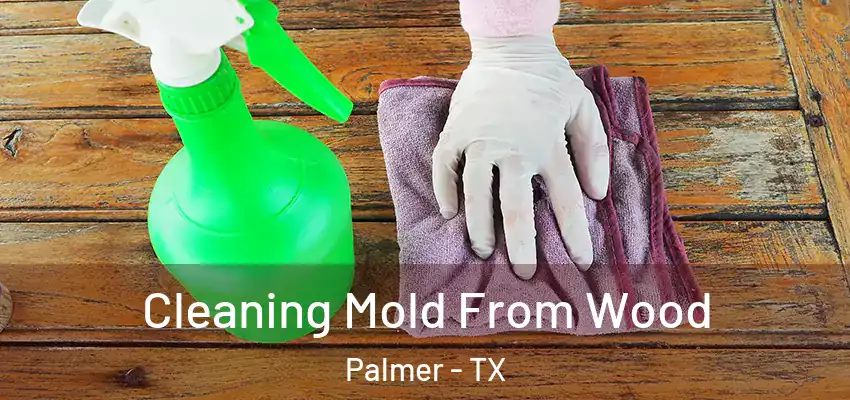  Cleaning Mold From Wood Palmer - TX