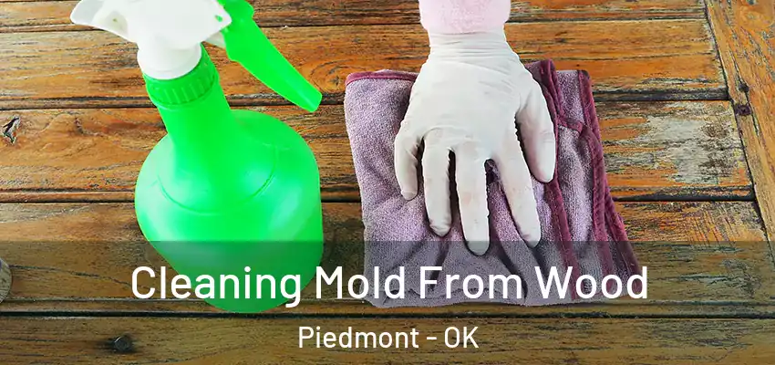 Cleaning Mold From Wood Piedmont - OK