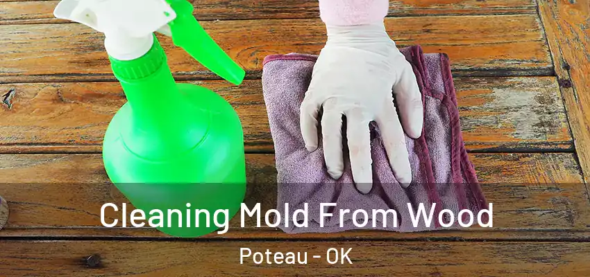  Cleaning Mold From Wood Poteau - OK