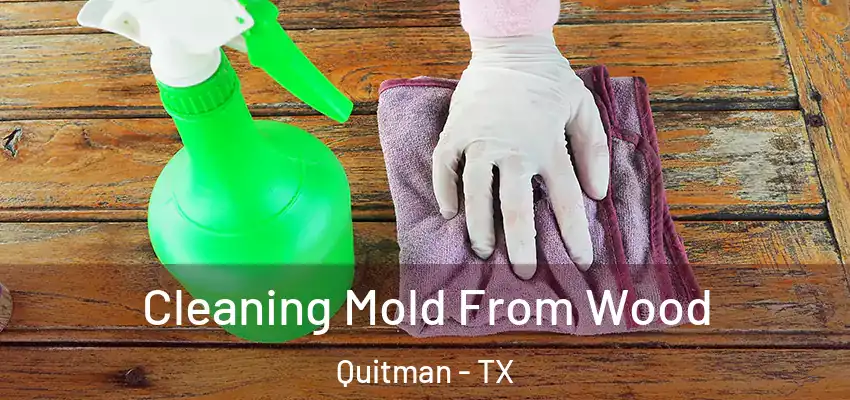 Cleaning Mold From Wood Quitman - TX