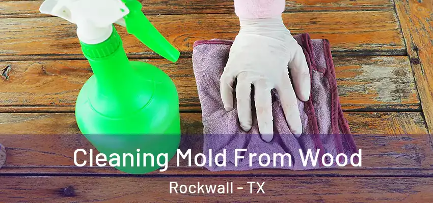  Cleaning Mold From Wood Rockwall - TX