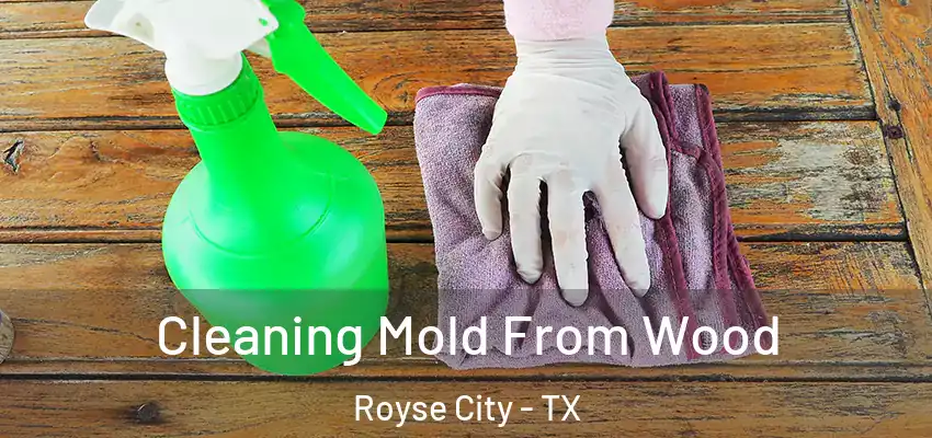  Cleaning Mold From Wood Royse City - TX