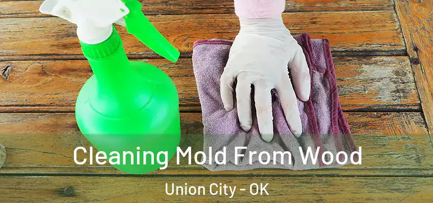  Cleaning Mold From Wood Union City - OK