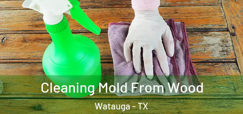  Cleaning Mold From Wood Watauga - TX