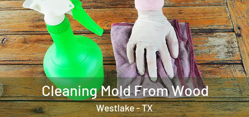  Cleaning Mold From Wood Westlake - TX