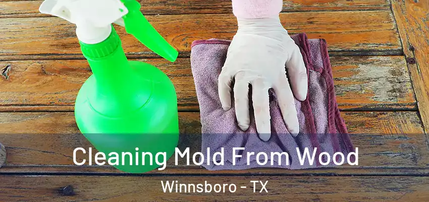  Cleaning Mold From Wood Winnsboro - TX
