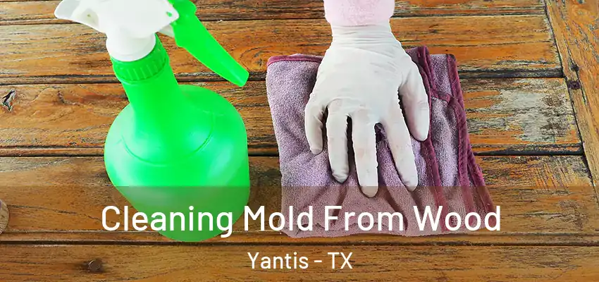  Cleaning Mold From Wood Yantis - TX