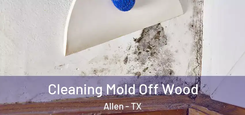  Cleaning Mold Off Wood Allen - TX