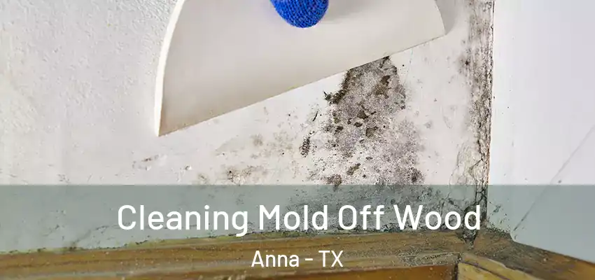 Cleaning Mold Off Wood Anna - TX