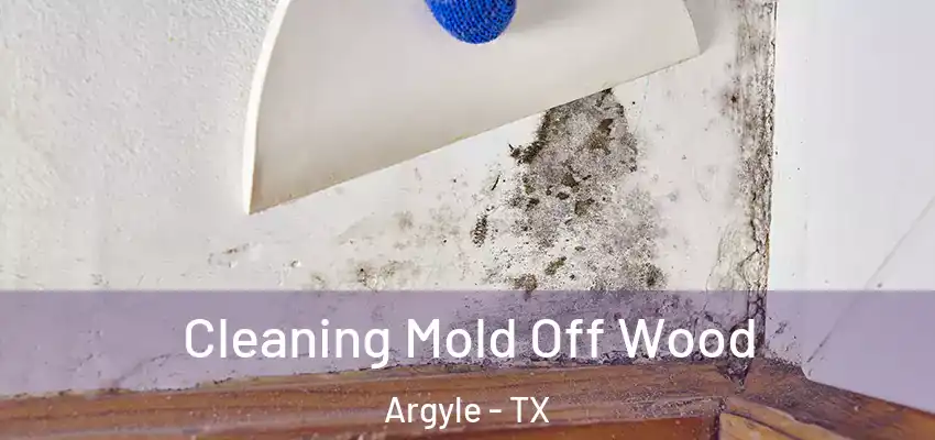  Cleaning Mold Off Wood Argyle - TX