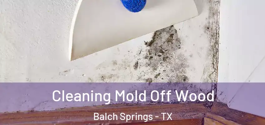  Cleaning Mold Off Wood Balch Springs - TX