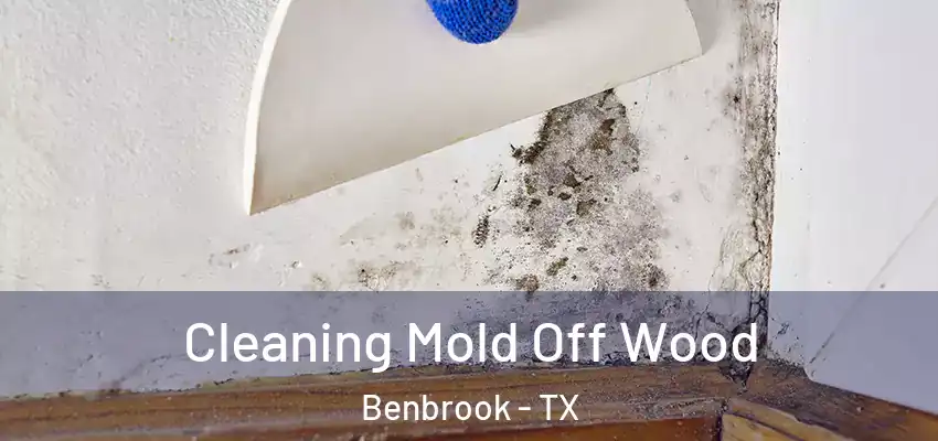  Cleaning Mold Off Wood Benbrook - TX