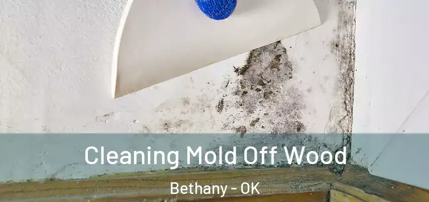 Cleaning Mold Off Wood Bethany - OK