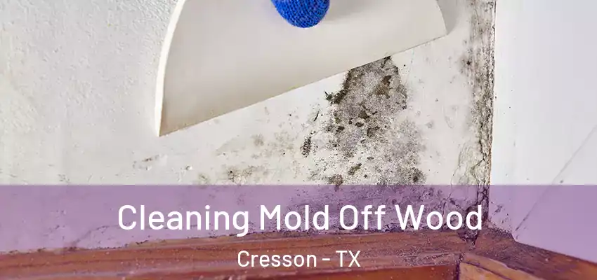 Cleaning Mold Off Wood Cresson - TX