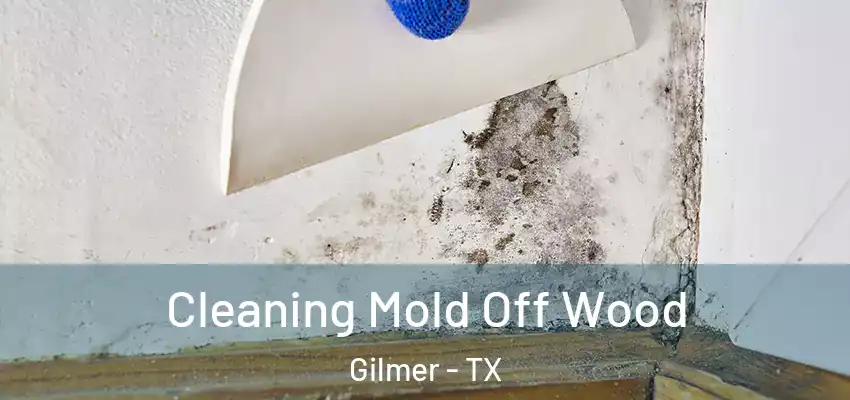  Cleaning Mold Off Wood Gilmer - TX