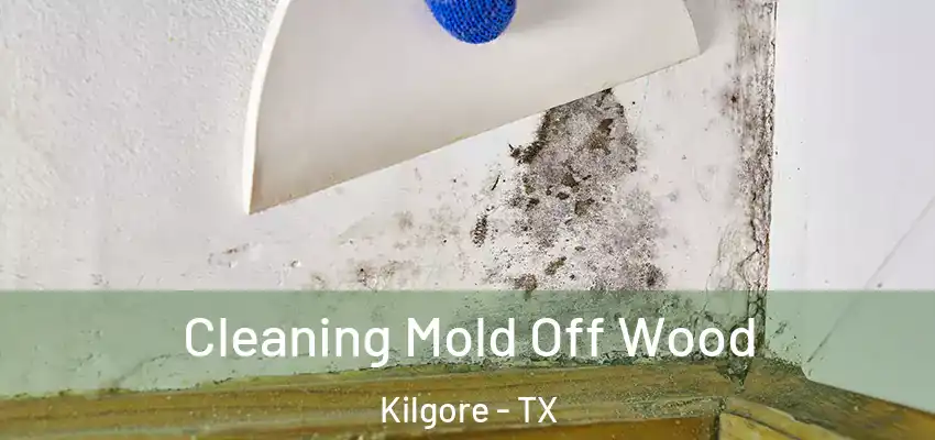  Cleaning Mold Off Wood Kilgore - TX