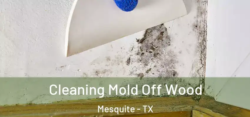  Cleaning Mold Off Wood Mesquite - TX