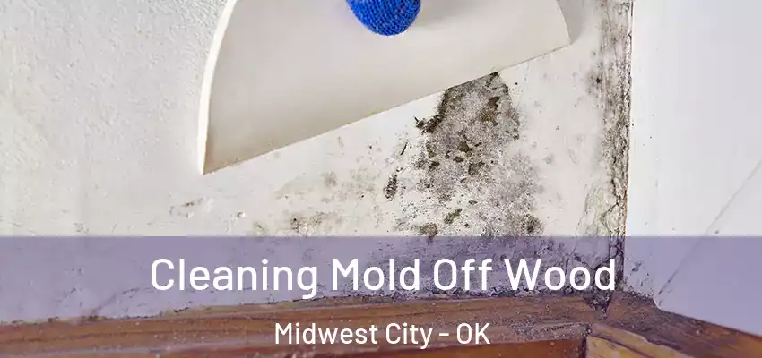  Cleaning Mold Off Wood Midwest City - OK