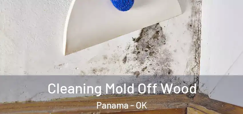  Cleaning Mold Off Wood Panama - OK