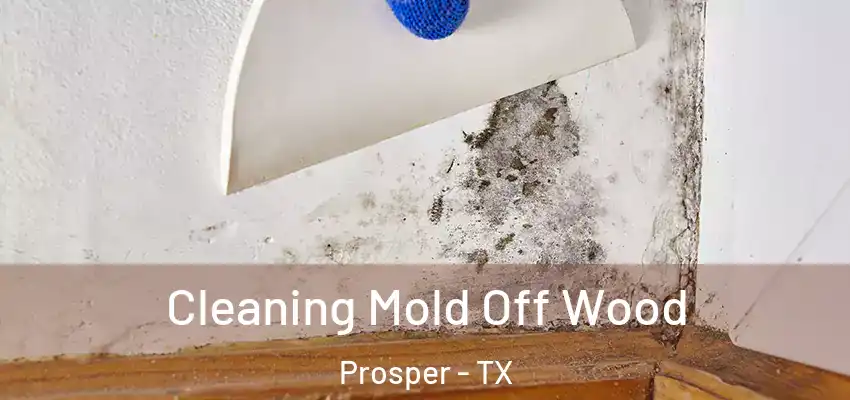  Cleaning Mold Off Wood Prosper - TX