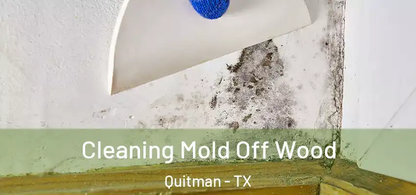 Cleaning Mold Off Wood Quitman - TX