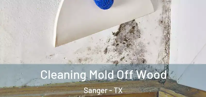  Cleaning Mold Off Wood Sanger - TX