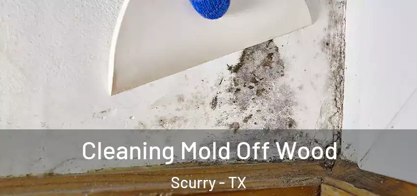 Cleaning Mold Off Wood Scurry - TX