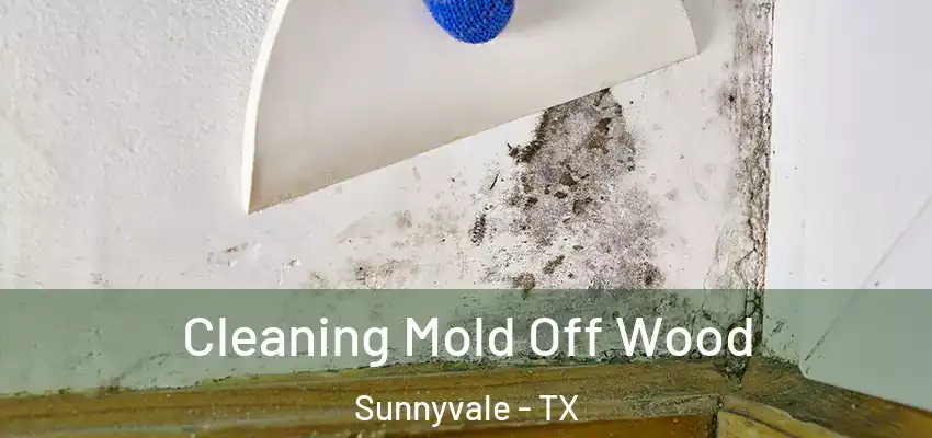  Cleaning Mold Off Wood Sunnyvale - TX