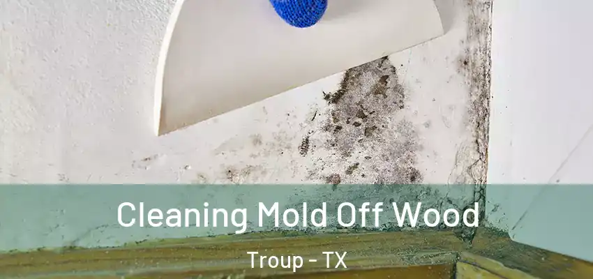  Cleaning Mold Off Wood Troup - TX