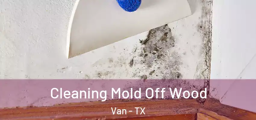 Cleaning Mold Off Wood Van - TX