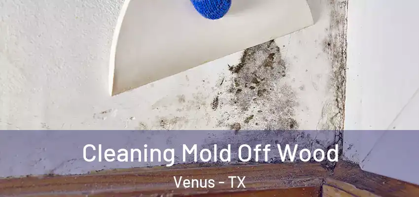  Cleaning Mold Off Wood Venus - TX