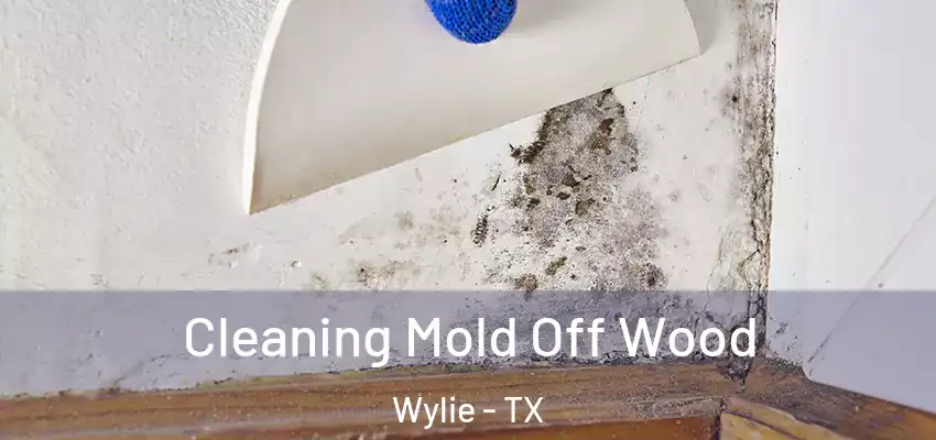 Cleaning Mold Off Wood Wylie - TX