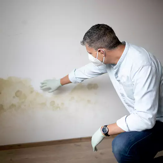 Trusted Mold Remediation and Removal Experts in Frisco, TX
