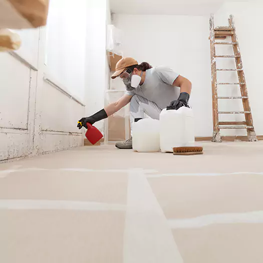 Reliable Mold Stain Remover Specialists in Frisco, TX