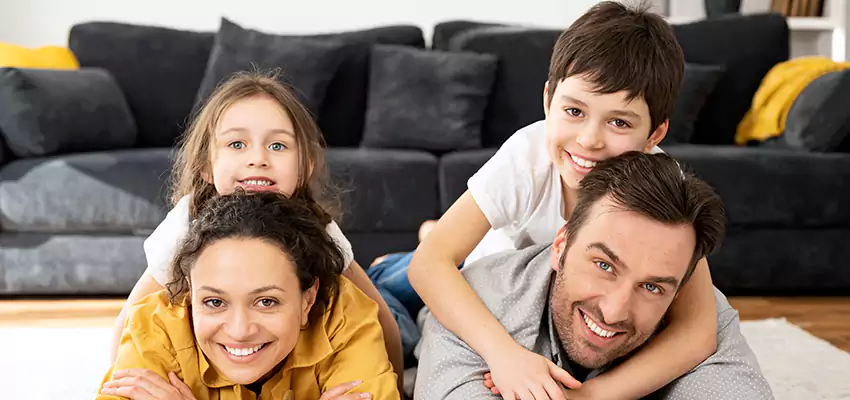 Mold Stain Remover for Wood in Frisco, TX