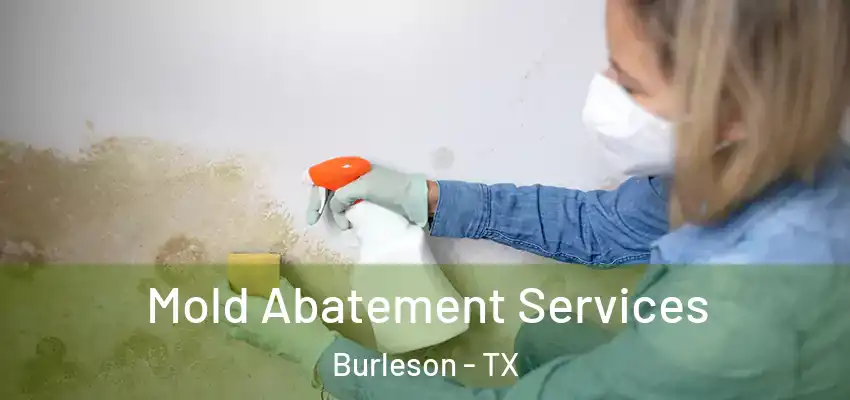 Mold Abatement Services Burleson - TX