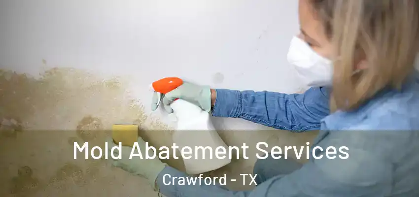 Mold Abatement Services Crawford - TX