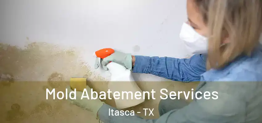 Mold Abatement Services Itasca - TX