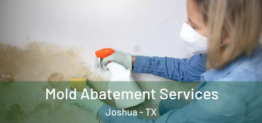 Mold Abatement Services Joshua - TX