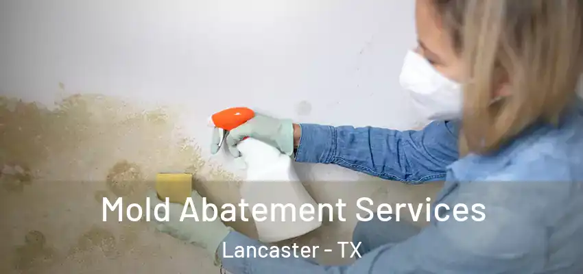Mold Abatement Services Lancaster - TX