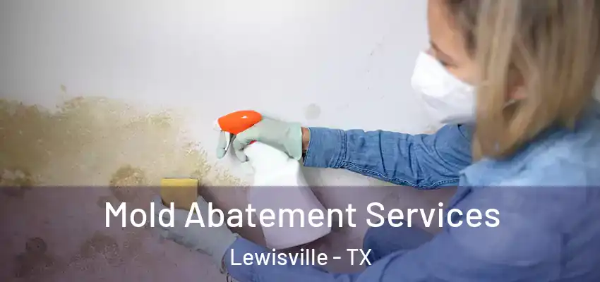  Mold Abatement Services Lewisville - TX