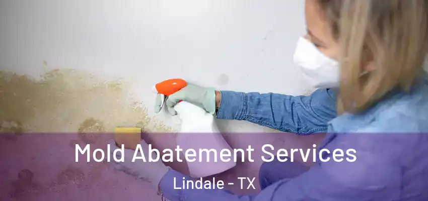 Mold Abatement Services Lindale - TX
