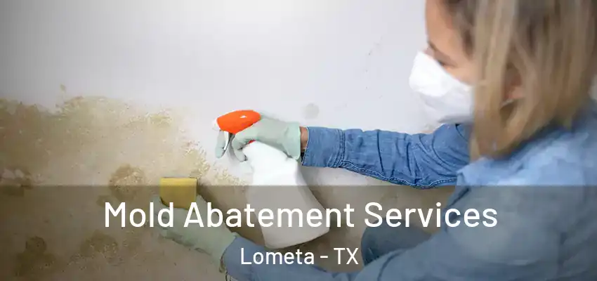  Mold Abatement Services Lometa - TX