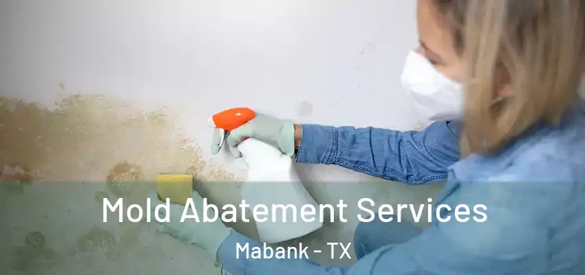 Mold Abatement Services Mabank - TX