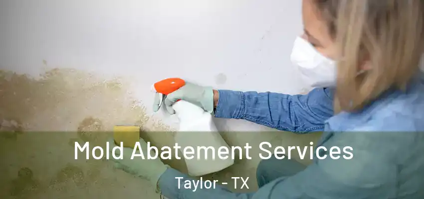 Mold Abatement Services Taylor - TX