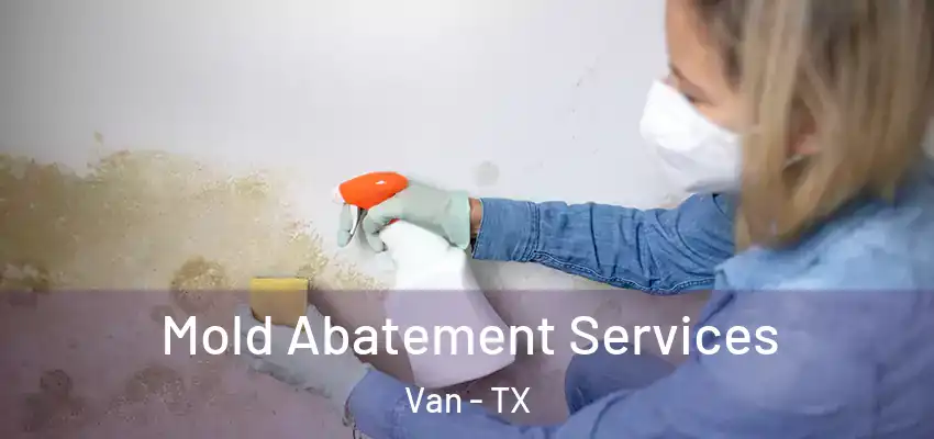  Mold Abatement Services Van - TX