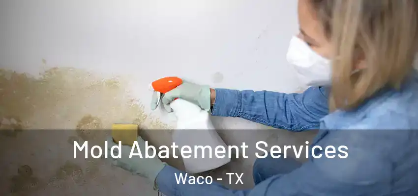 Mold Abatement Services Waco - TX