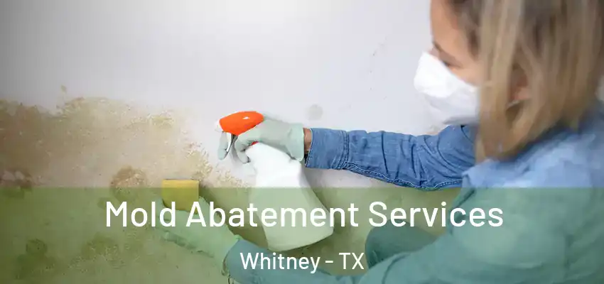 Mold Abatement Services Whitney - TX