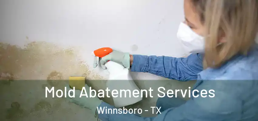 Mold Abatement Services Winnsboro - TX